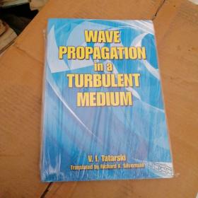 Wave Propagation in a Turbulent Medium