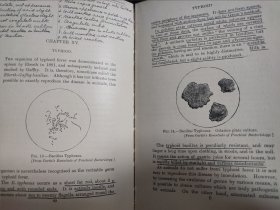Elementary Bacteriology 基础细菌学 民国 古旧书 1903年 精装本 馆藏书 内页笔迹较多 英语原版书 细菌学基础