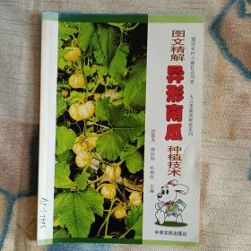 图文精解异形南瓜种植技术