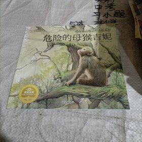 危险的母猴吉妮