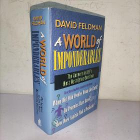 DAVID FEKDMAN A WORLD of IMPONDERABLES 大卫·费克德曼一个无法估量的世界 (实物图)