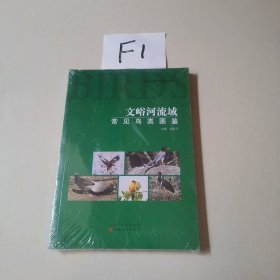 文峪河流域常见鸟类图鉴
