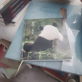 猫语人生