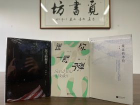 【大家专辑】刘瑜作品集精装版：送你一颗子弹+观念的水位+民主的细节3册