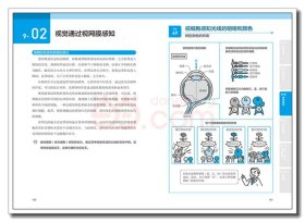 漫画基础医学：读懂解剖生理学 （日）林洋 著；刘芷佚，刘福水，刘乃刚 译 中国轻工业出版社 沿海书店