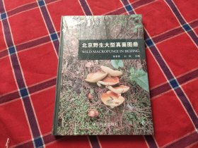 北京野生大型真菌图册