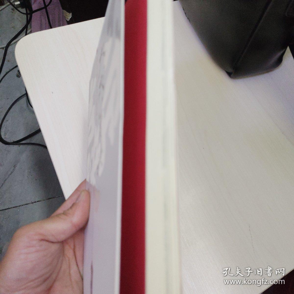 大成若缺：八十年代习武记 武士会 2册