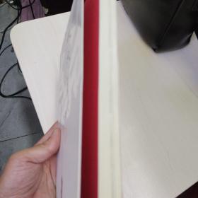 大成若缺：八十年代习武记 武士会 2册