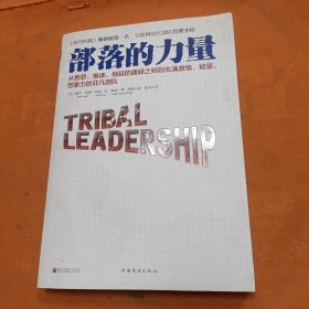 部落的力量：从抱怨、推诿、拖延的庸碌之师到充满激情、能量、想象力的非凡团队