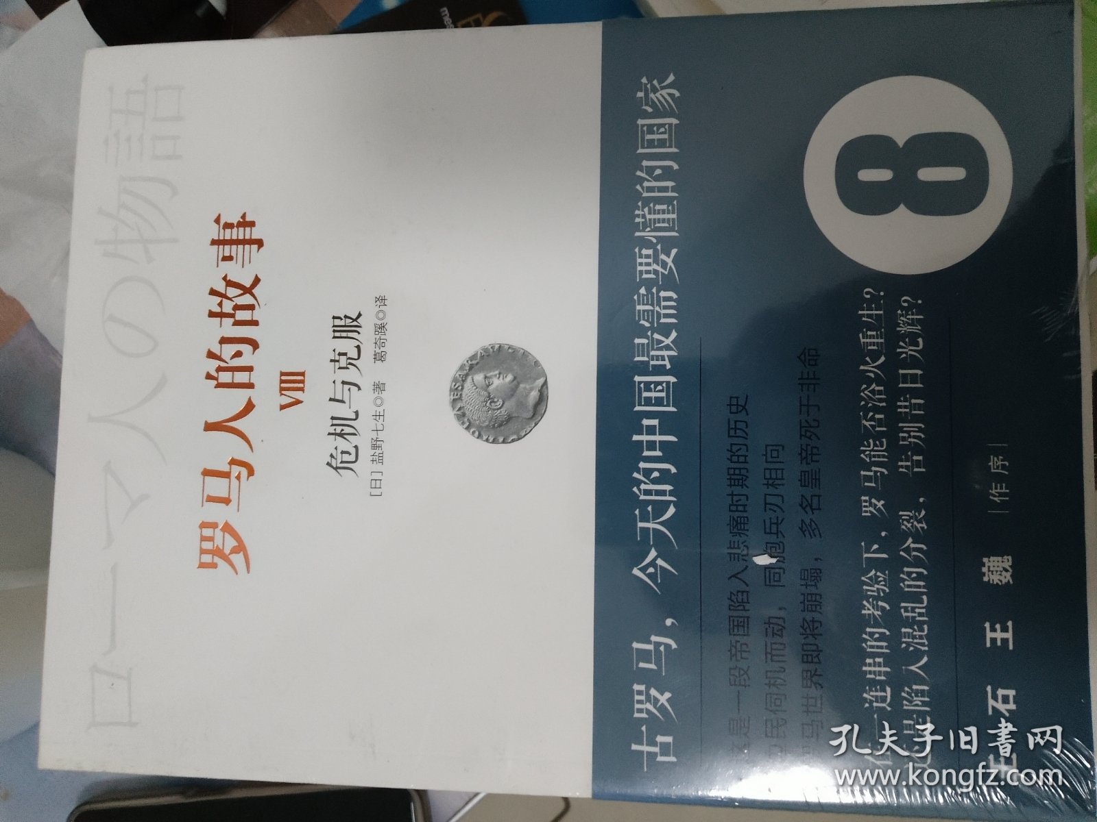 罗马人的故事8：危机与克服