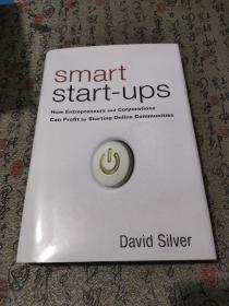 精明创业：企业家和公司如何通过启动在线社区赚钱 Smart Start-Ups