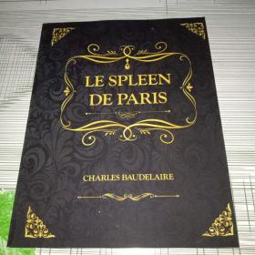 LE SPLEEN DE PARIS 西班牙语