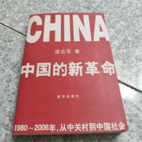 中国的新革命：1980-2006年，从中关村到中国社会 正版内页干净
