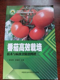 番茄高效栽培技术与病虫害防治图谱