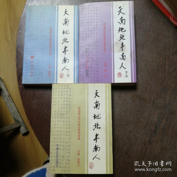 天南地北丰南人（3册）