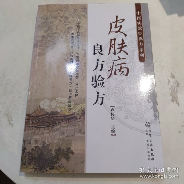 中医时效经典方系列：皮肤病良方验方