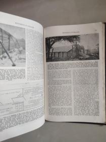 ABC and XYZ of BEE CULTURE 英文原版 1929年 革面精装,封面烫金凹凸印刷，品相较好