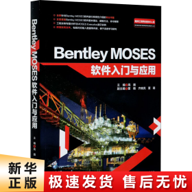 BentleyMOSES软件入门与应用