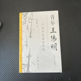 青年王阳明