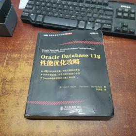 Oracle Database 11g性能优化攻略