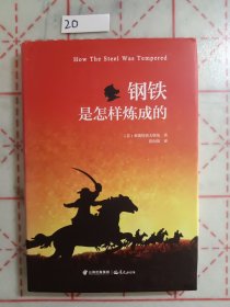 钢铁是怎样炼成的（精装）