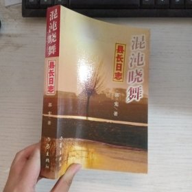 混沌晓舞：县长日志 有签名