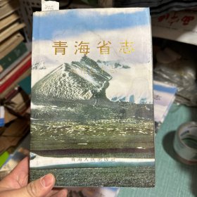 青海省志·文化艺术志