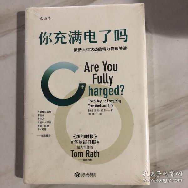 你充满电了吗？：激活人生状态的精力管理关键