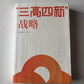 三高四新战略