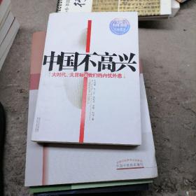 中国不高兴：大时代大目标及我们的内忧外患