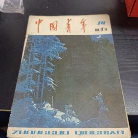 中国青年1981/14（书背页掉落）