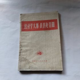 社社学大寨县县赶昔阳