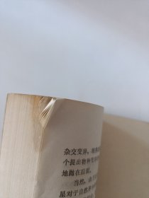 中国古代发明创造