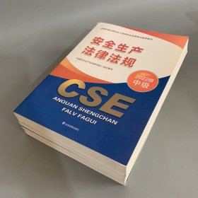 安全生产法律法规2022版（中级）4本合售：安全生产管理；安全生产专业实务 建筑施工安全；安全生产技术基础；安全生产法律法规