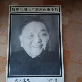 武汉党建
