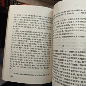 眼角眉梢都是恨