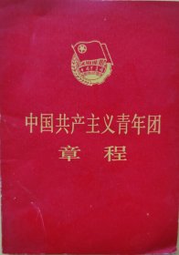 中国共产主义青年团章程 1982