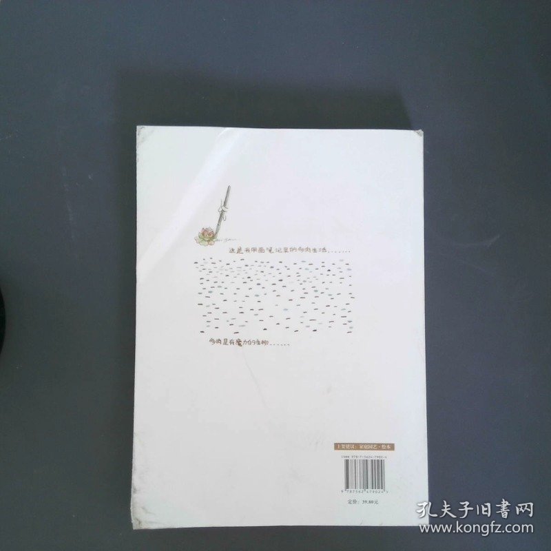 多肉植物手绘日记