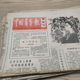 中国青年报1981年（23份）