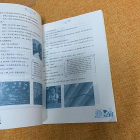 小小农艺师（幼儿园农艺活动）/幼儿园课程资源丛书