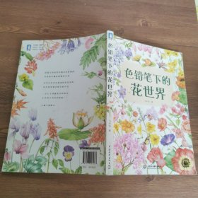 色铅笔下的花世界