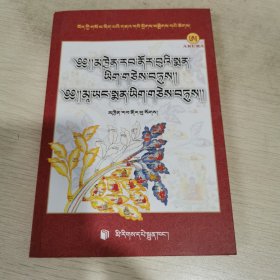 钦热诺布医著选集·玛央派医著选集