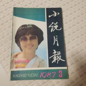 小说月报   1987年第3期