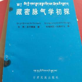 藏密脉气学初探