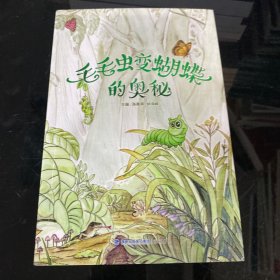 毛毛虫变蝴蝶的奥秘