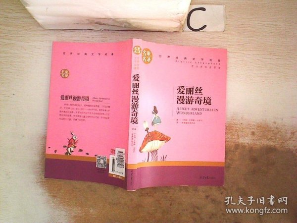 爱丽丝漫游奇境 中小学生课外阅读书籍世界经典文学名著青少年儿童文学读物故事书名家名译原汁原味读原著