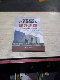 大型企业技术创新能力提升之道(无翻阅)