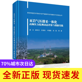 頁巖氣壓排采一體化高頻壓力監(jiān)測動態(tài)評價與創(chuàng)新實踐