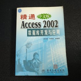 精通中文版Access2002数据库开发与应用