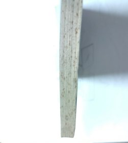 PROTEIN SYNTHESIS Volume1 蛋白质合成第一卷